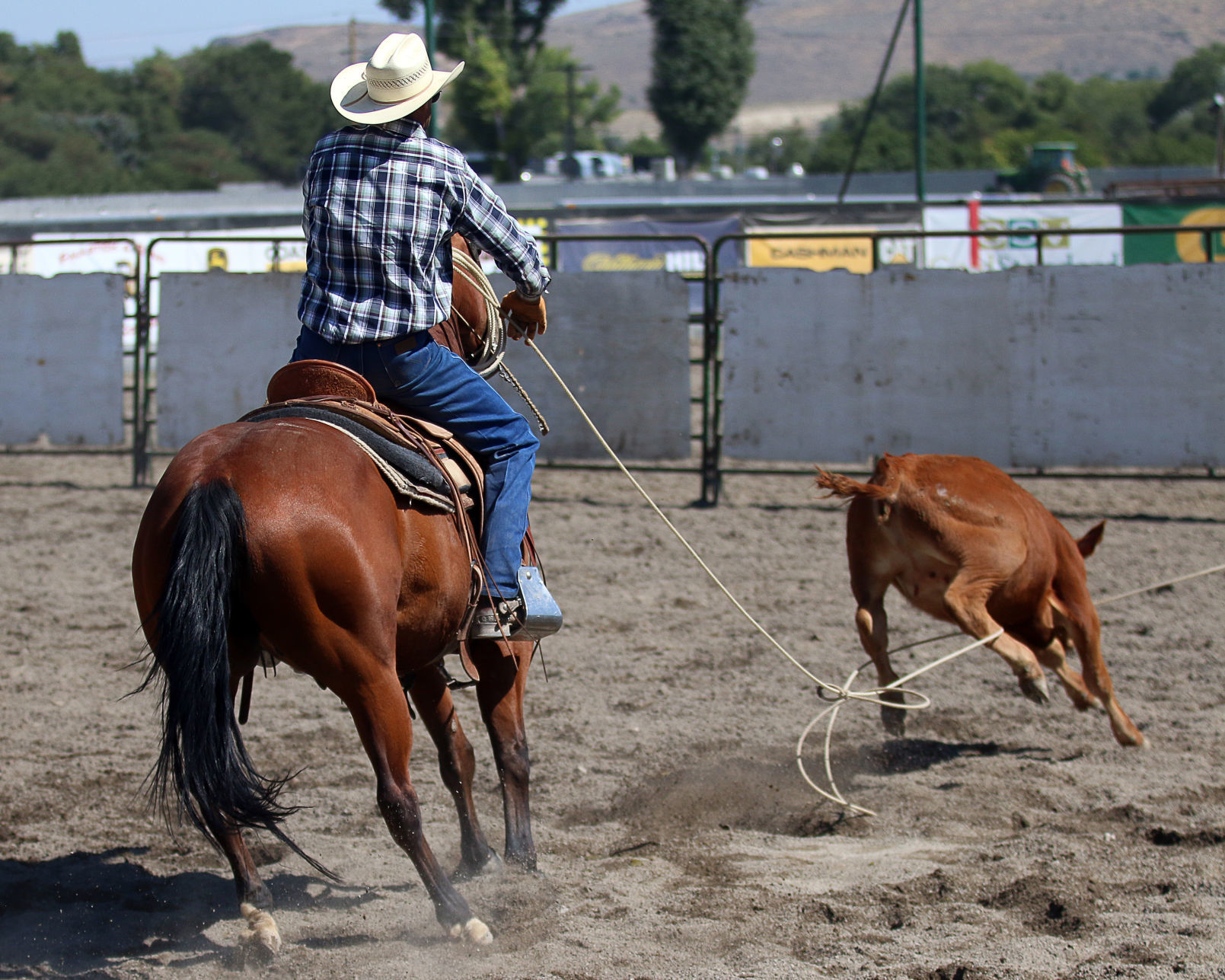 2018 Elko County Fair Open Branding Finals (38).JPG